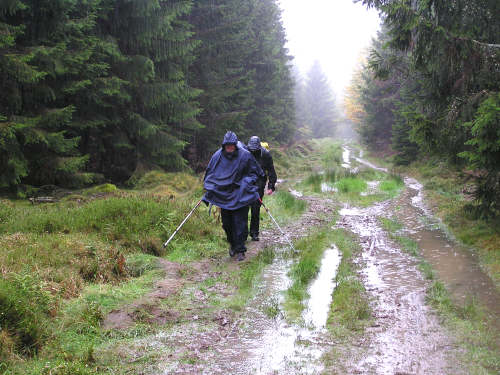 Wer findet den trockensten Weg? Wem gelingt es, nicht im Schlamm zu versinken?